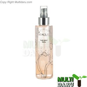 بررسی قیمت و خرید سی گل |‌ Seagull