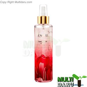 بررسی قیمت و خرید سی گل | Seagull