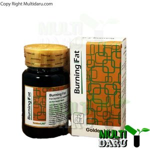 قرص برنینگ فت گلدن لایف 30 عددی