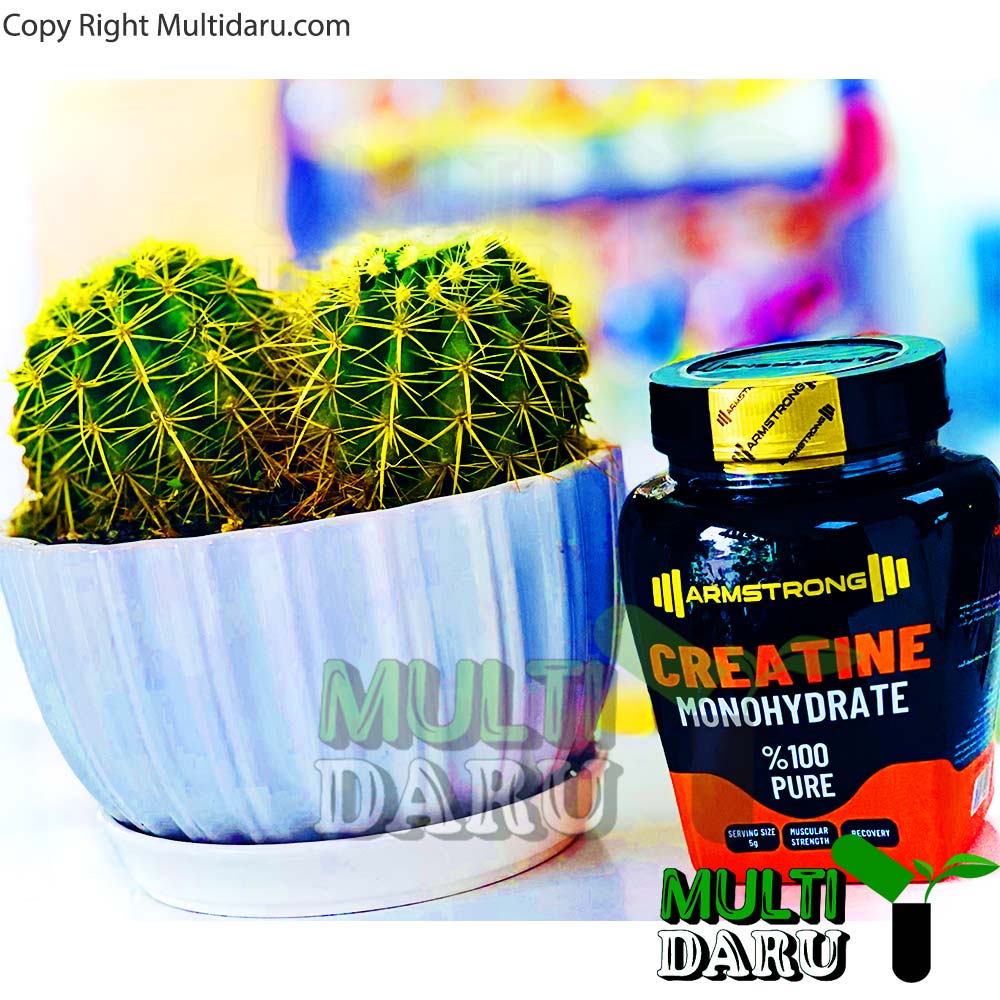خرید کراتین مونوهیدرات آرمسترانگ 500 گرم | مکمل بدنسازی خالص و اقتصادی